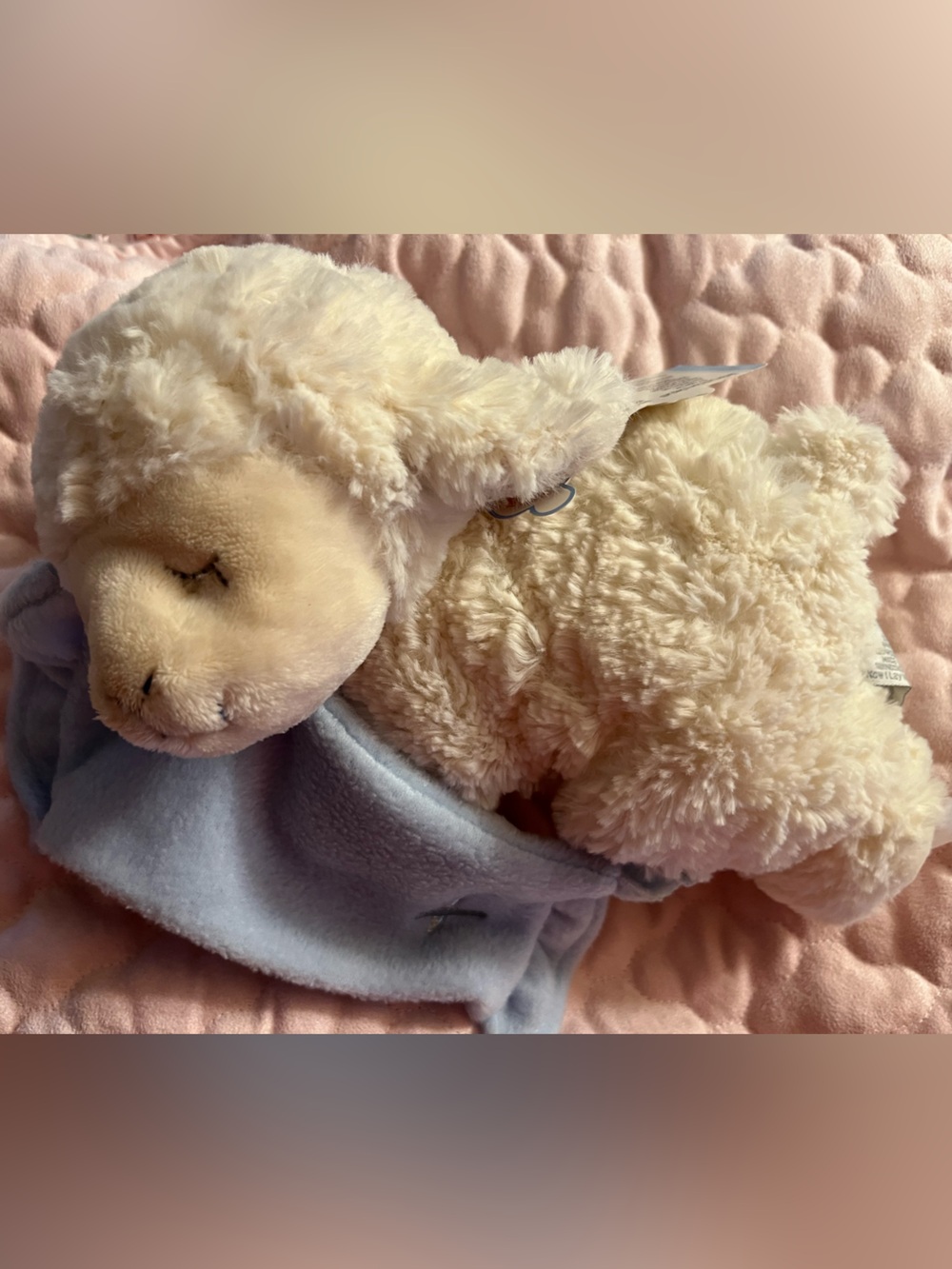 Demdaco Cream Lamb Plush with Light Blue Comfort Blanket